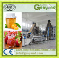 Professional Automatic Mango Jam Production Line